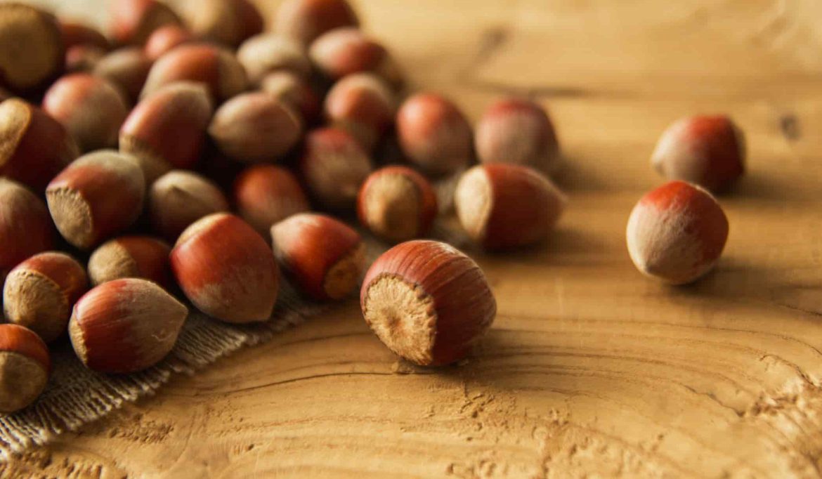 High quality hazelnut producers