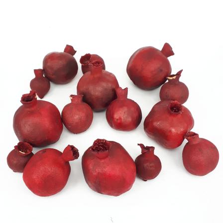 Manufacturers of dried pomegranate