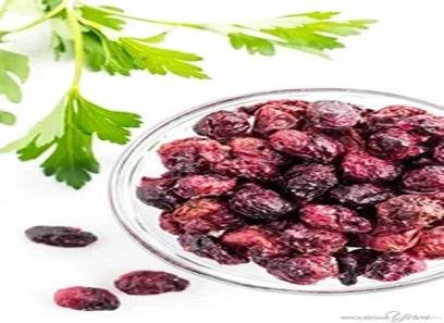 Dried Cranberries with complete explanations and familiarization