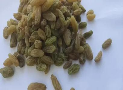 Iranian seeded green raisins with complete explanations and familiarization