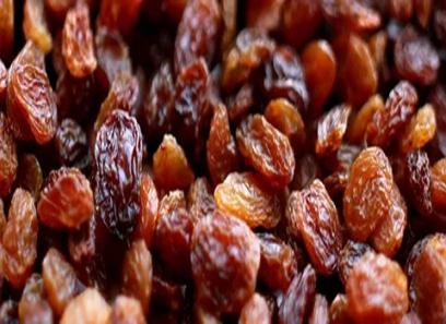 Turkish regular Sultanas specifications and how to buy in bulk