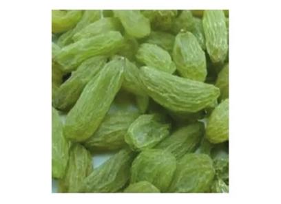 seedless green Afghan raisins acquaintance from zero to one hundred bulk purchase prices